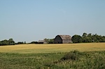IMG_9130