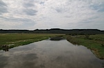 IMG_9171