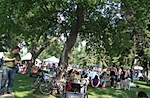 IMG_9205