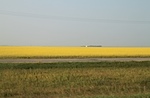 IMG_9271