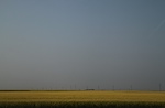 IMG_9273