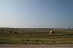 IMG_9276