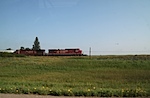 IMG_9279