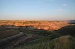 IMG_9467