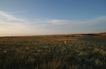 IMG_9475