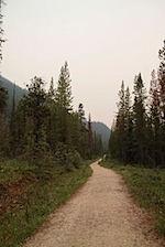 IMG_0948.jpg