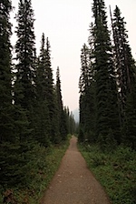 IMG_0953.jpg