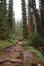 IMG_0955.jpg
