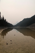 IMG_0960.jpg