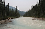 IMG_0976.jpg