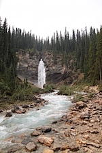 IMG_0980.jpg