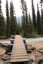 IMG_0982.jpg