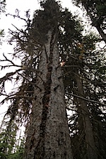 IMG_0990.jpg