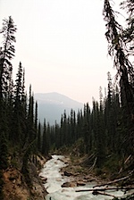 IMG_0994.jpg
