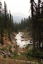 IMG_0995.jpg