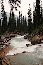 IMG_0998.jpg