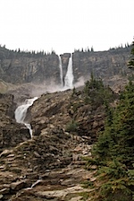 IMG_1001.jpg