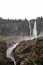 IMG_1003.jpg