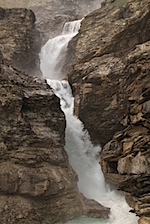 IMG_1007.jpg