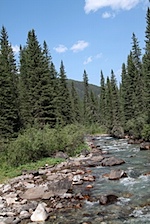 IMG_1096.jpg