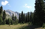 IMG_1110.jpg