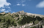 IMG_1136.jpg