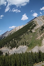 IMG_1145.jpg