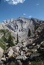 IMG_1147.jpg