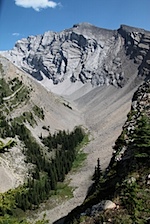 IMG_1149.jpg