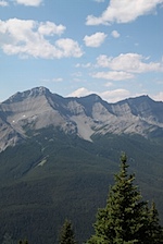 IMG_1156.jpg