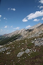 IMG_1176.jpg
