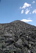 IMG_1195.jpg