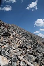 IMG_1210.jpg