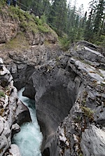 IMG_1684.jpg