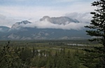 IMG_1768.jpg