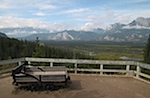 IMG_1781.jpg