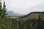 IMG_1785.jpg