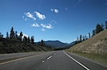 IMG_2241.jpg