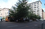IMG_2451.jpg