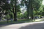 IMG_2459.jpg