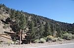 IMG_5696.jpg