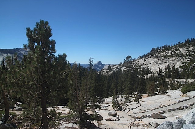 IMG_6653.jpg