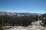 IMG_6695.jpg