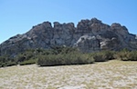 IMG_6771.jpg