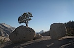 IMG_6800.jpg