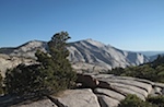 IMG_6801.jpg