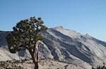 IMG_6802.jpg