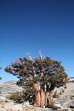 IMG_6803.jpg