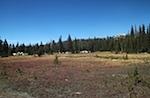 IMG_6821.jpg