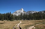IMG_6824.jpg